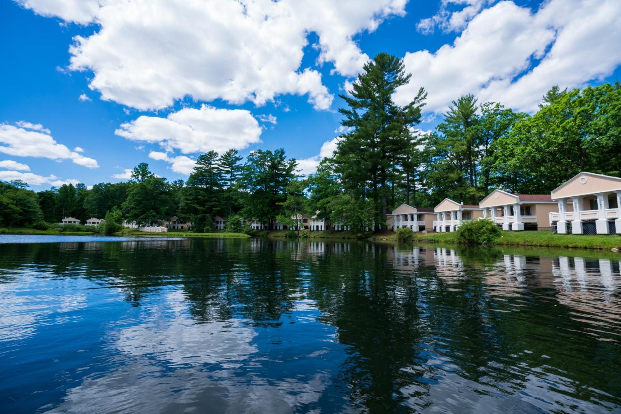 Paradise Stream